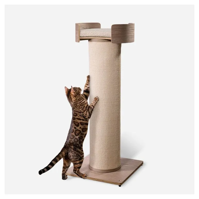 Когтеточки