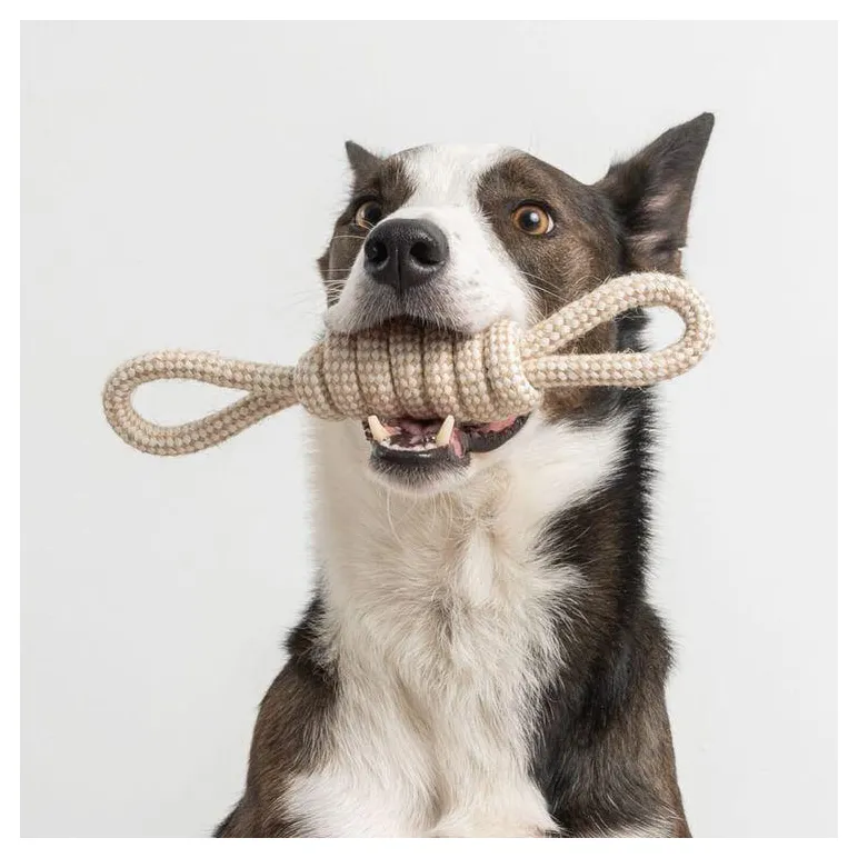 Игрушки для животных