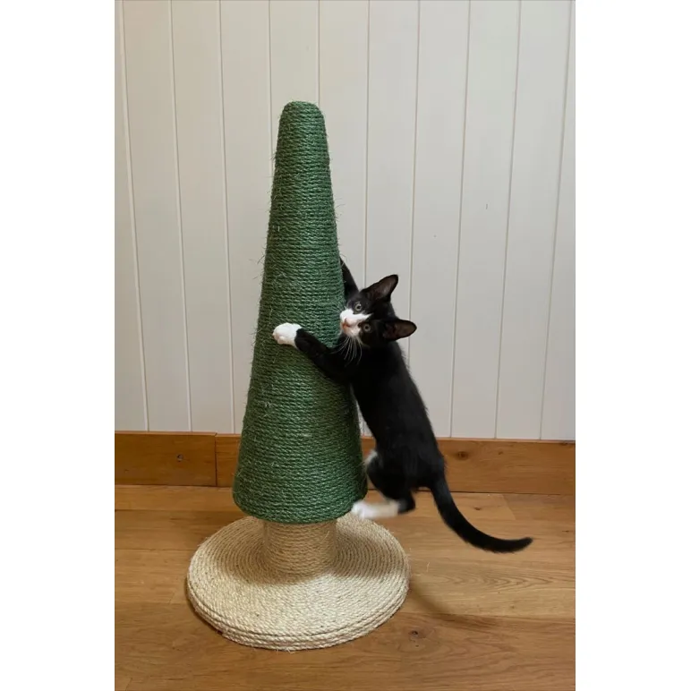 Когтеточки